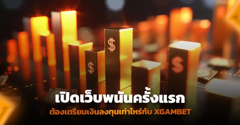 เปิดเว็บพนัน 1 เว็บ ต้องจ่ายค่าอะไรบ้าง?